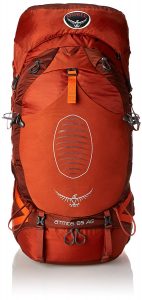 Osprey Men's Atmos 65 AG Backpacks