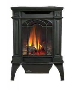 Napoleon GDS20N Fireplace