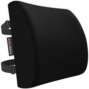 Lumbar Support for Office Chair