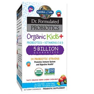 Garden of Life-Dr. Formulated Probiotics Organic Kids