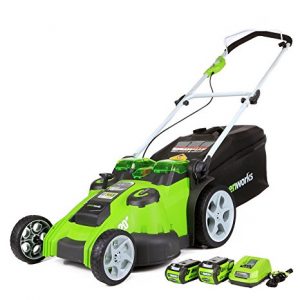 Greenworks 20-Inch 40V Twin Force Cordless Lawn Mower