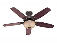 Hunter Fan Company 53091 Hunter ceiling fan