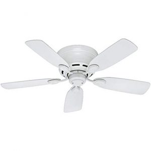 Hunter Indoor Low Profile IV Ceiling Fan