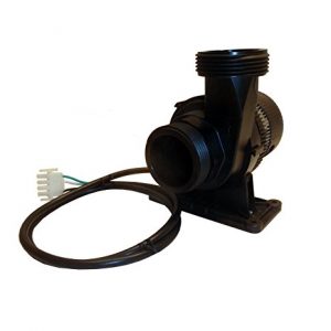 Laing E14 1-1/2-Inch Buttress Thread Circulation Spa Pump