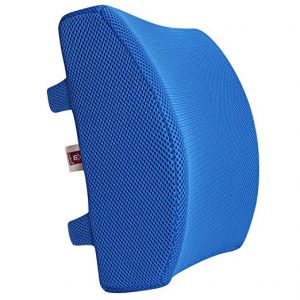 LoveHome Memory Foam Lumbar Support Back Cushion