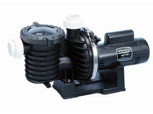 Pentair Sta-Rite P6RA6F-206L Max-E-Pro Standard Efficiency Single Speed Up-Rated Pool and Spa Pump,