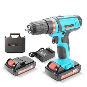 Qisiewell 21V Lithium-Ion Cordless Drill Driver
