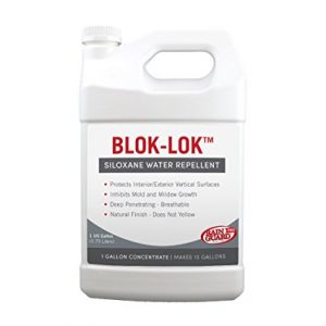 Rainguard International Blok-Lok Sealer