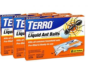 TERRO PreFilled liquid ant killer