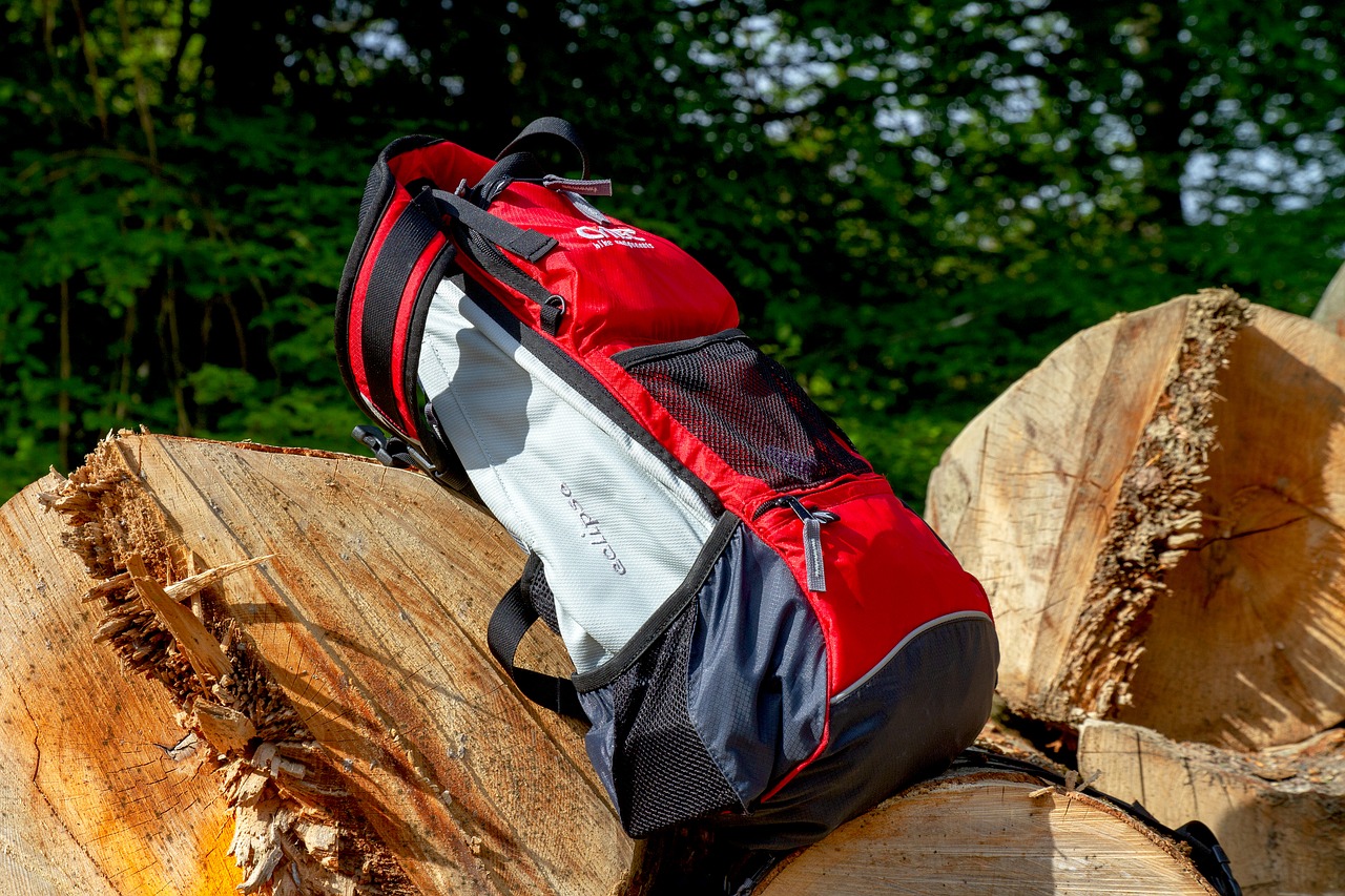 backpack-3369137_1280