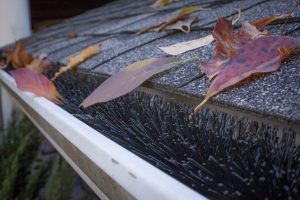 GutterBrush Leaf Gutter Guard for Standard 5 Inch Rain Gutters