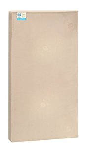 Sealy Soybean Serenity Foam-Core Infant/Toddler Crib Mattress