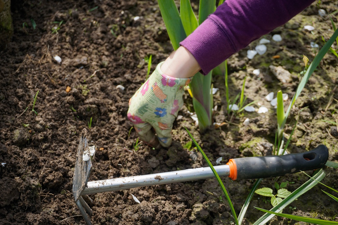 work-in-the-garden-2432111_1280